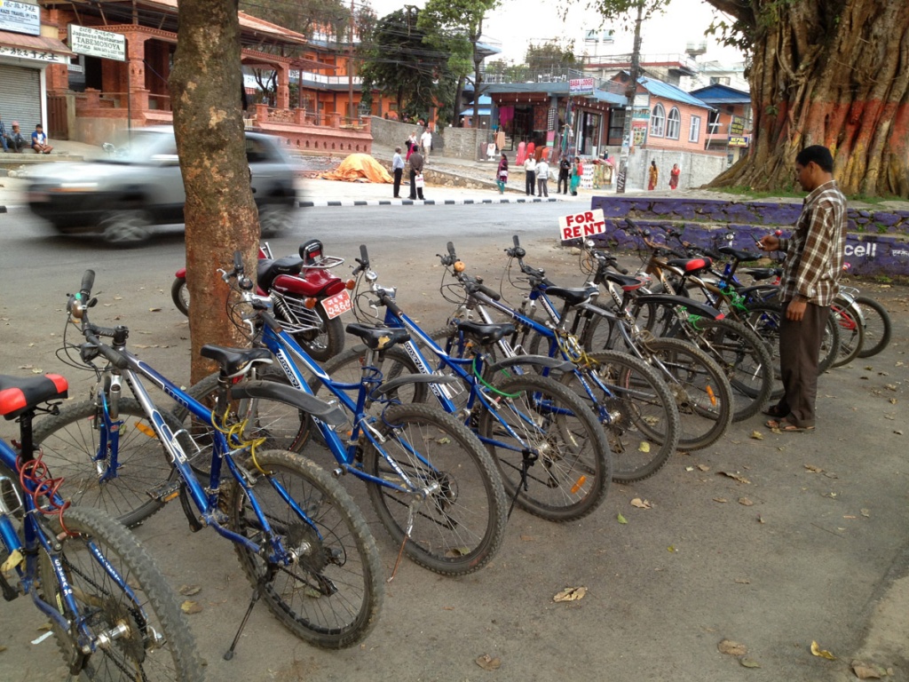 Bicycle Rental